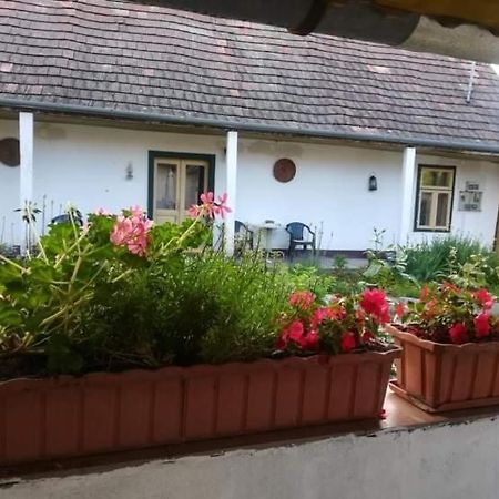 Hotel Terez Haza Pazmand Exterior foto