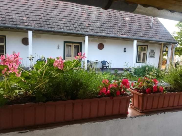 Hotel Terez Haza Pazmand Exterior foto