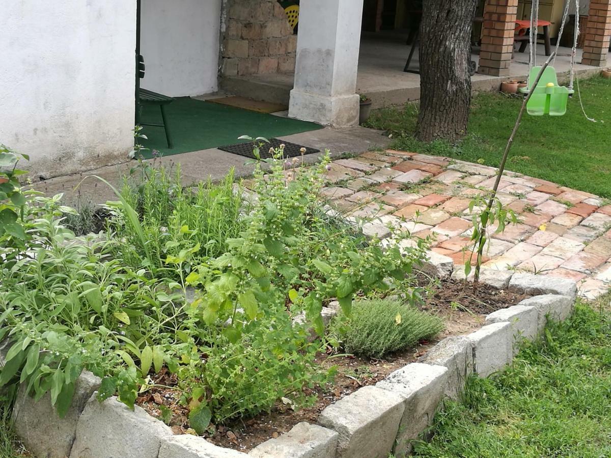Hotel Terez Haza Pazmand Exterior foto